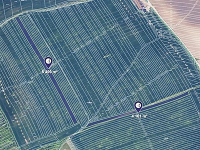 Prodej  pole 10 660 m²