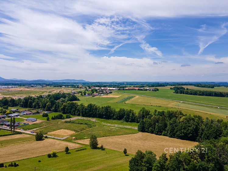 Grundstück zum Kauf, 1.217 m² (12 von 14)