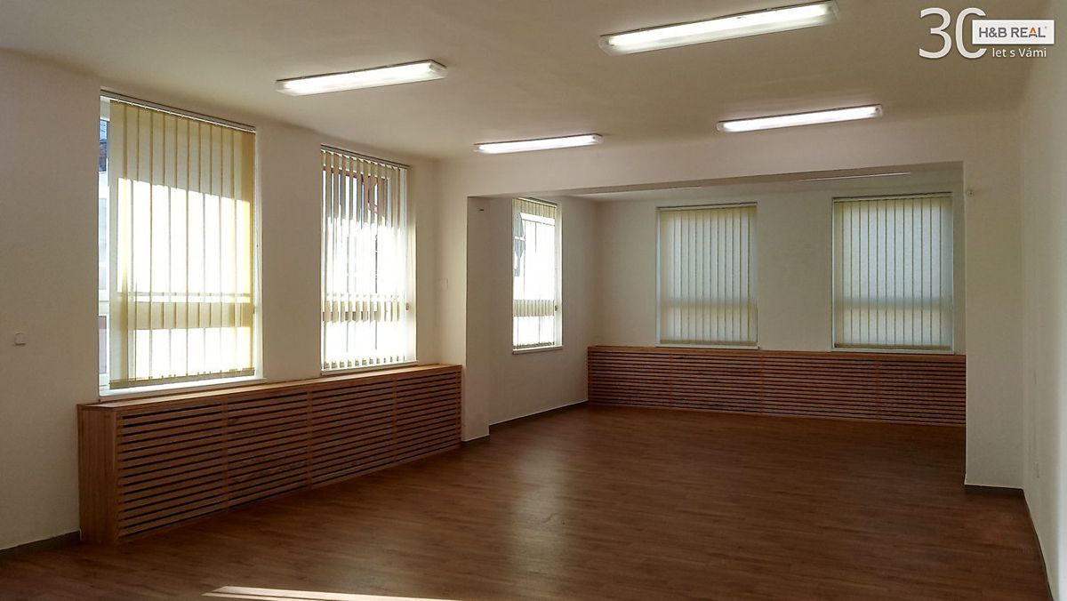 Pronájem obchodního prostoru 195 m²