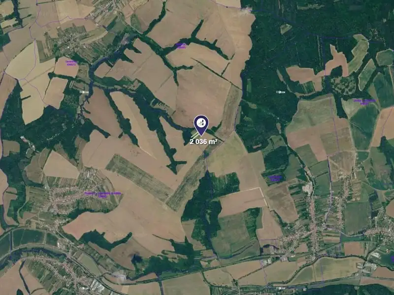 Prodej pole 2036 m², Mistřice – náhled fotky 2