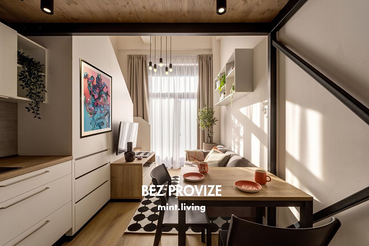 Pronájem bytu 1+kk 34 m²