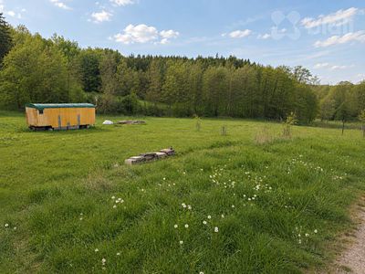 Prodej louky 3165 m²