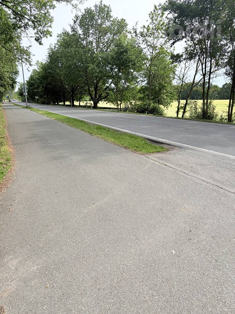 Pronájem louky 3000 m² – fotografie 5