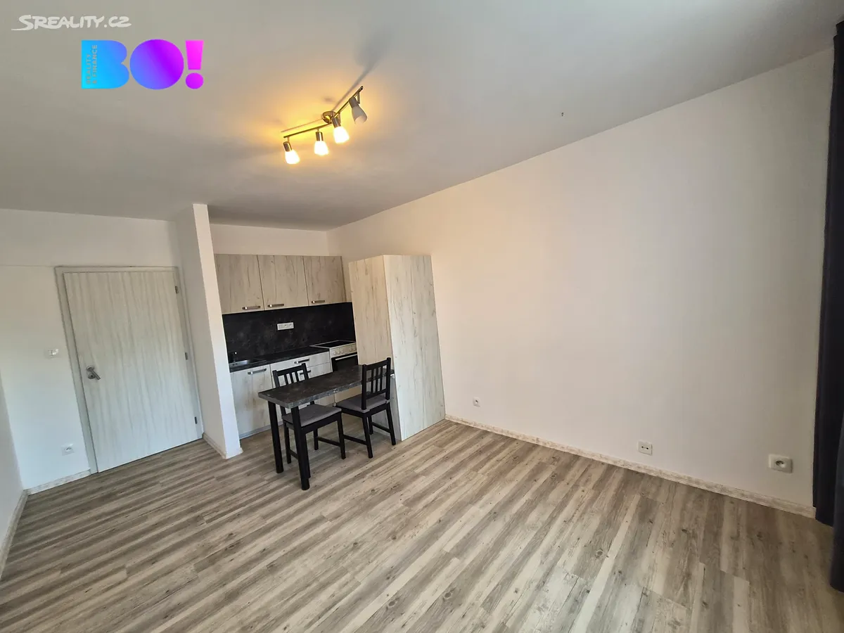 Pronájem bytu 1+kk 29 m² - Widok 4