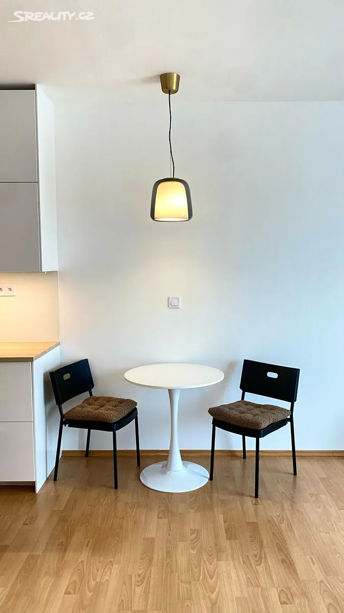 Pronájem bytu 1+kk 42 m² – další