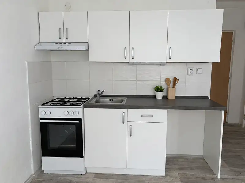 Pronájem bytu 1+1 34 m², Litvínov – náhled fotky 2
