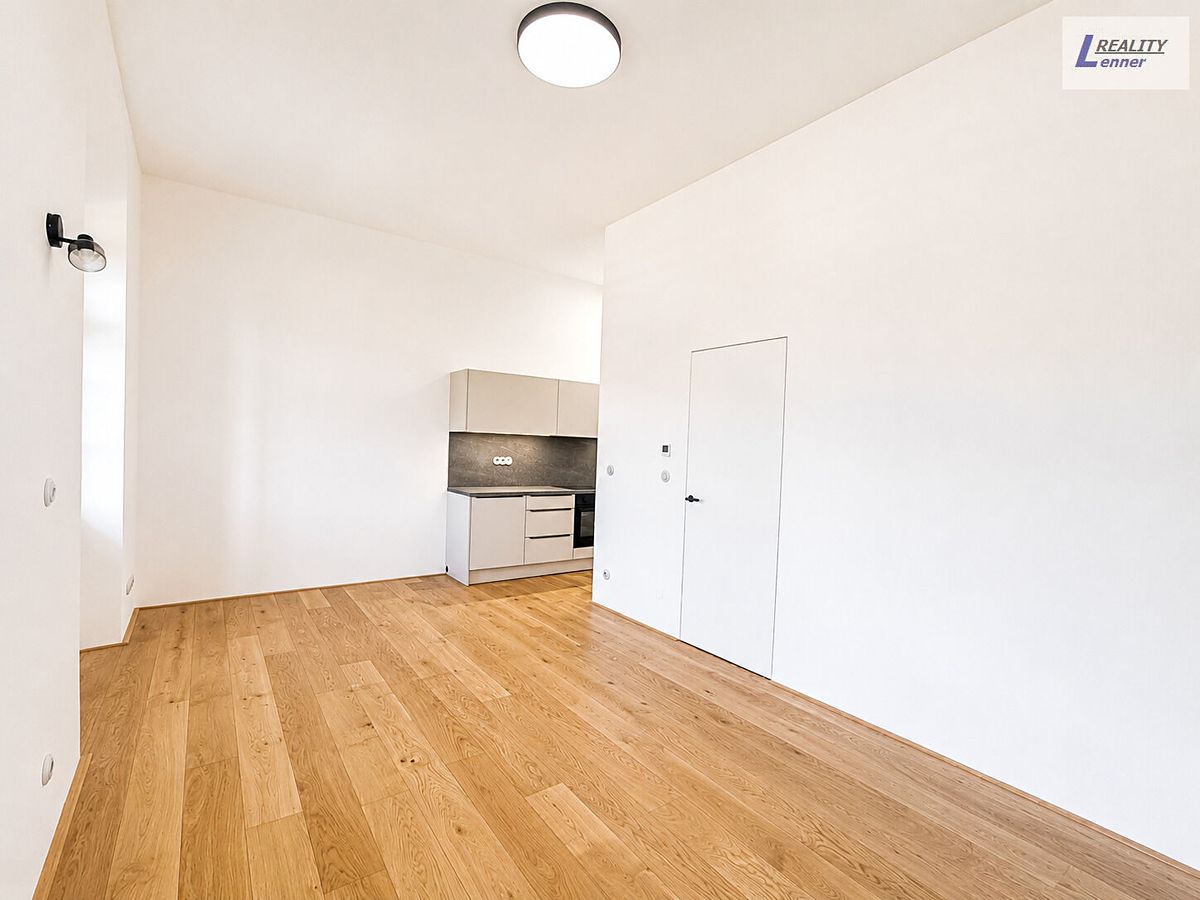 Pronájem bytu 1+kk 38 m² – fotografie 4