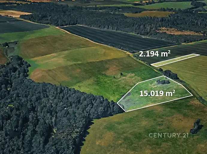 Prodej pole 17213 m², Potštát – náhled fotky 3