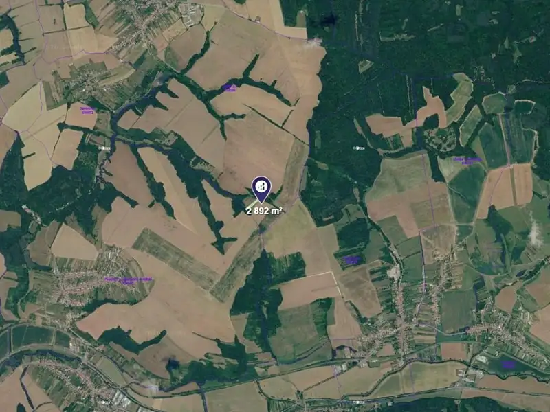 Prodej pole 2892 m², Mistřice – náhled fotky 2