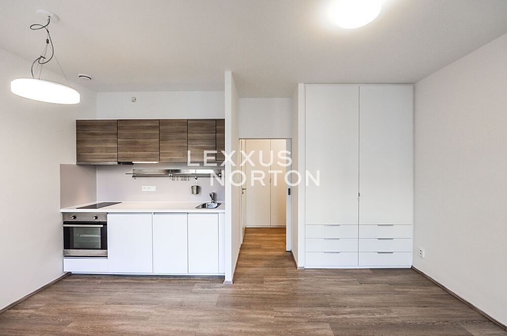 Pronájem bytu 1+kk 30 m²
