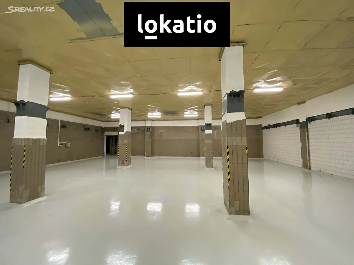 Pronájem skladového prostoru 400 m², Olomouc