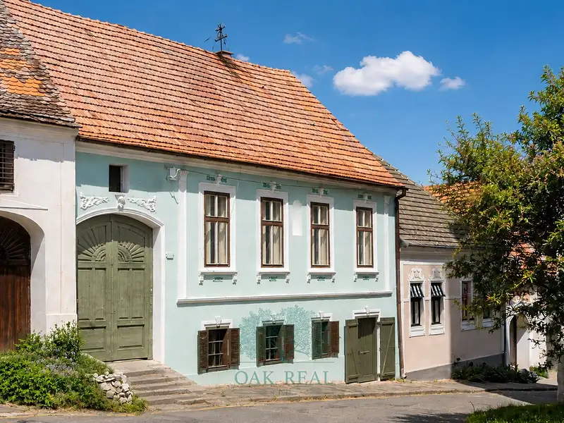 Prodej památky 200 m², pozemek 892 m², Pavlov – náhled fotky 1