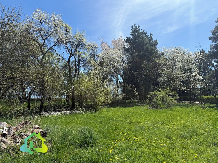 Prodej pozemku, 1 000 m² (10 z 12)