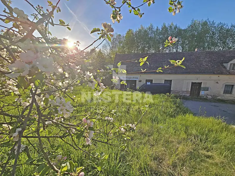 Prodej zemědělské usedlosti 650 m², pozemek 6495 m², Slapy – náhled fotky 2