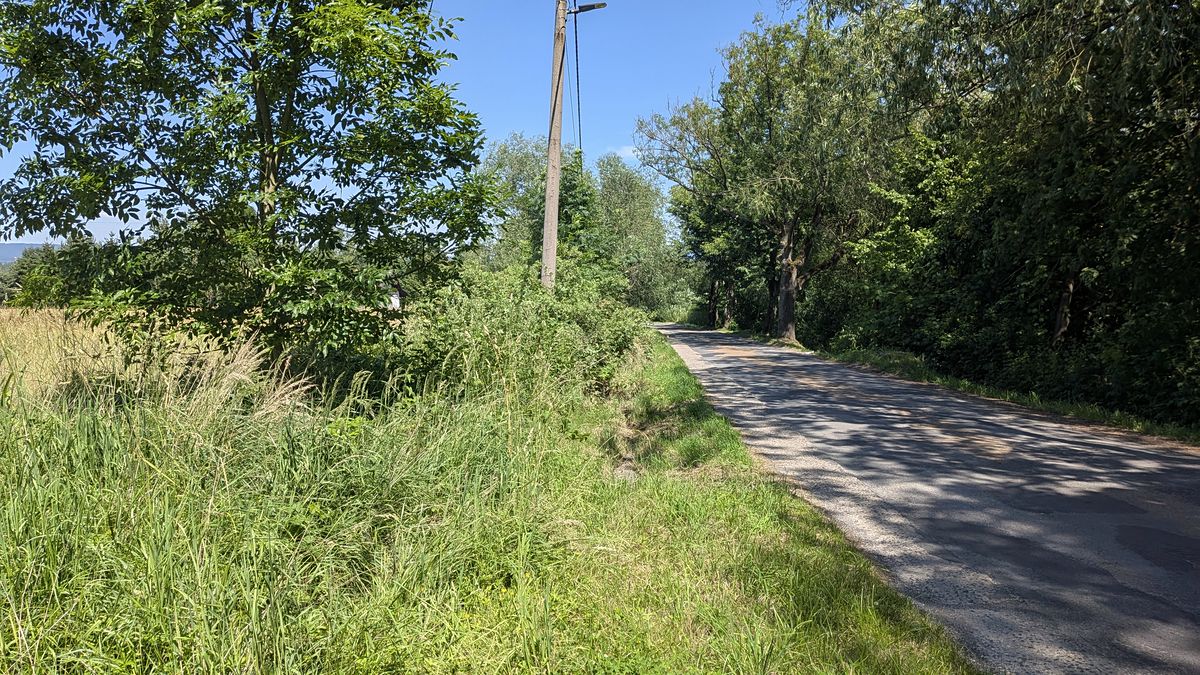 Prodej stavebního pozemku 12831 m² – fotografie 3