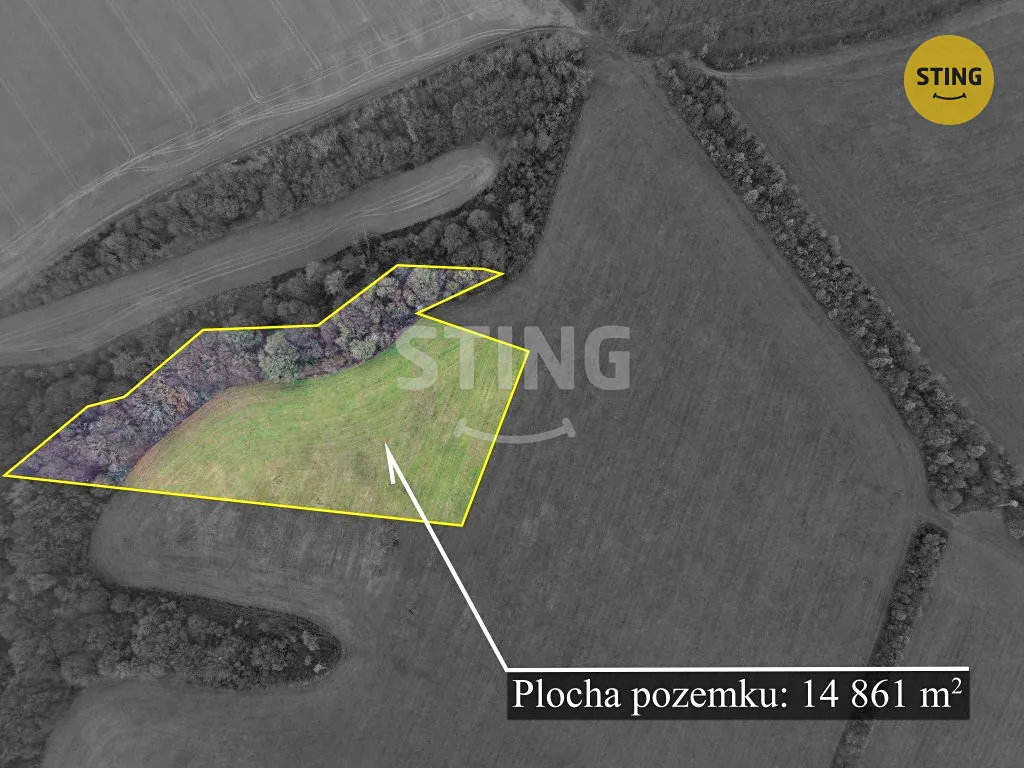 Fotka 9 z 11