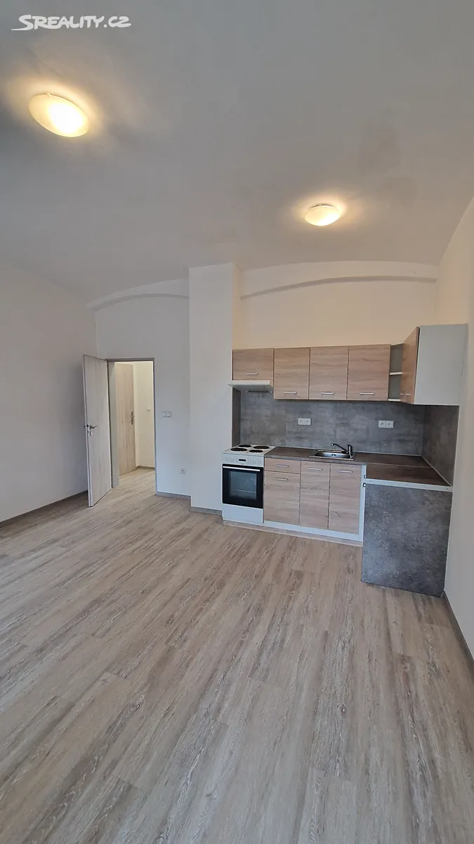 Pronájem bytu 2+kk 50 m², Emilie Dvořákové