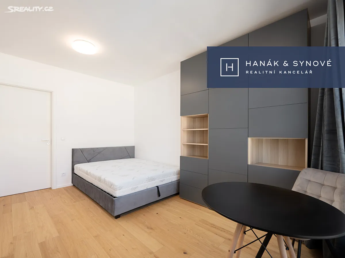 Pronájem bytu 1+kk 24 m², Brno