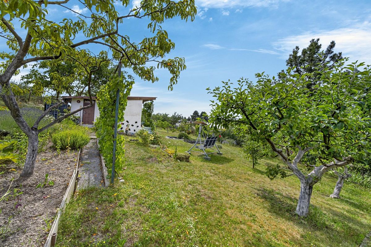 Prodej zahrady 391 m² – fotografie 5