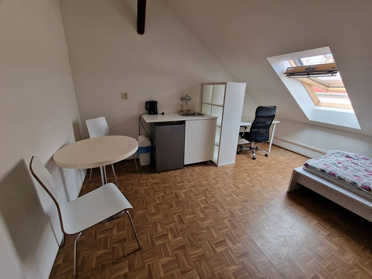 Pronájem bytu pokoje 13 m²