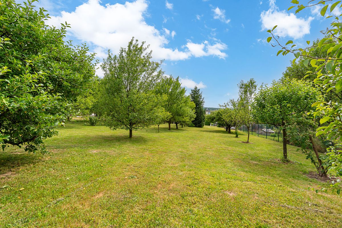 Prodej rodinného domu 250 m², pozemek 1964 m² – fotografie 5