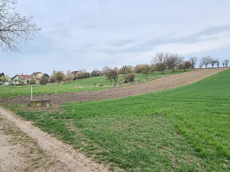 Prodej stavebního pozemku 1854 m², Jiříkovice – náhled fotky 3