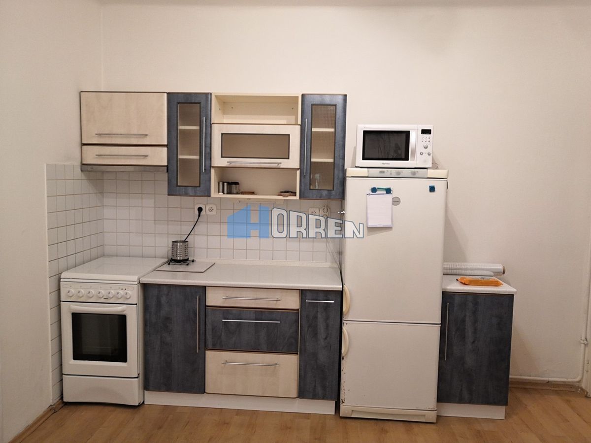 Pronájem bytu 1+1 41 m²