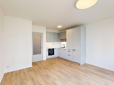 Pronájem bytu 1+kk, 32 m² (2 z 9)