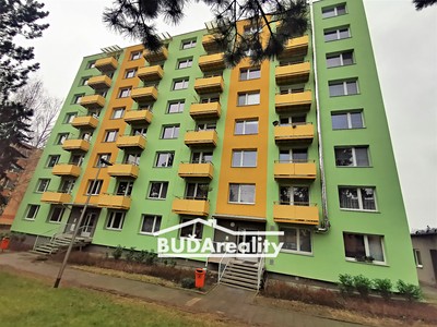 Pronájem bytu 1+1 40 m²