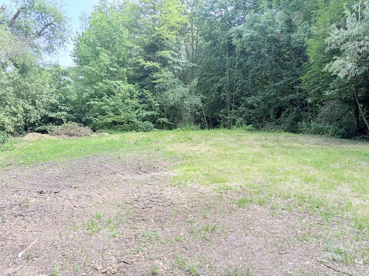 Pronájem louky 3000 m² – fotografie 2