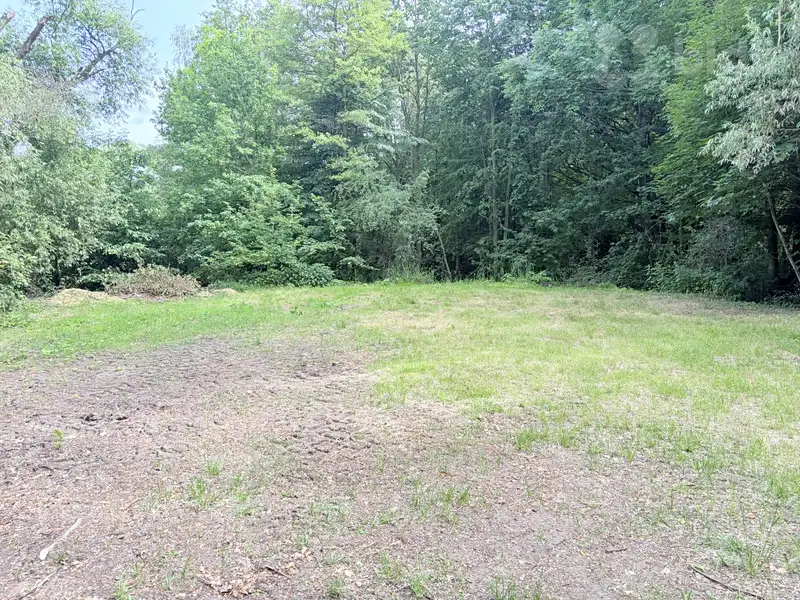 Pronájem louky 3000 m², Pardubice – náhled fotky 2