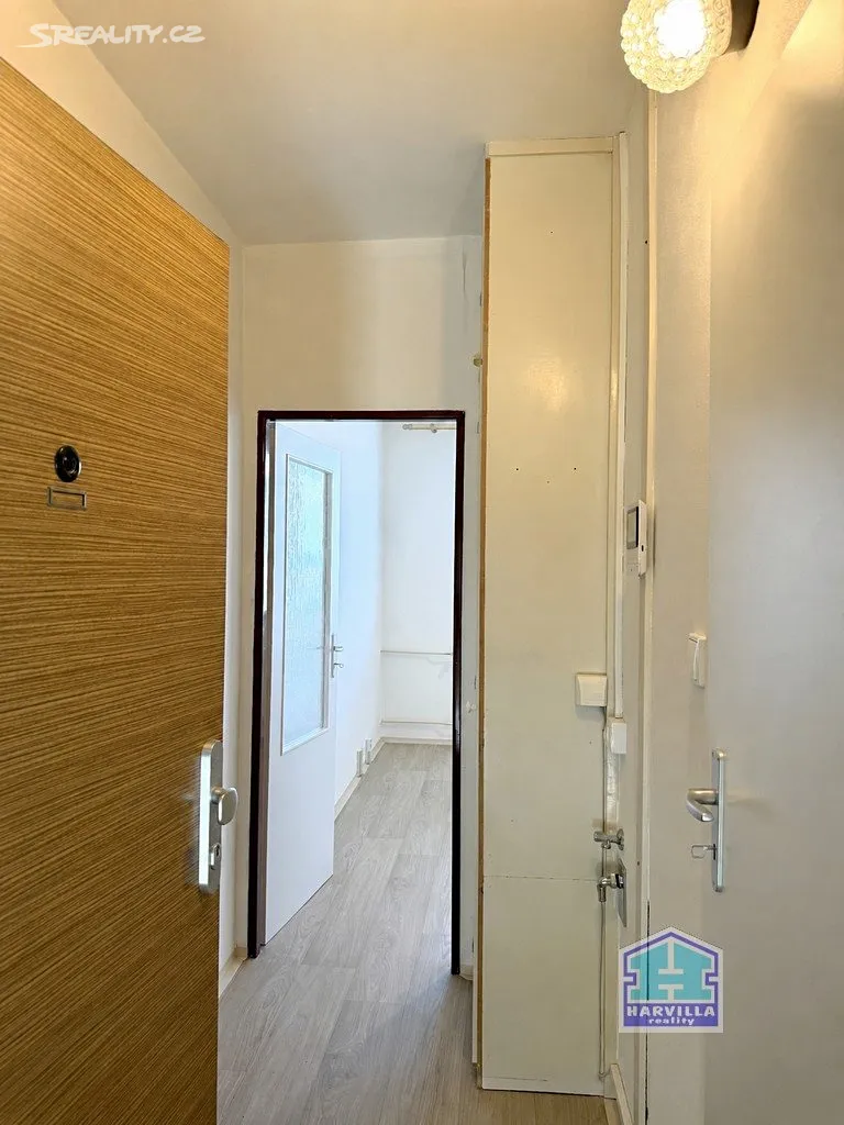 Pronájem bytu 1+1 39 m² - Widok 3