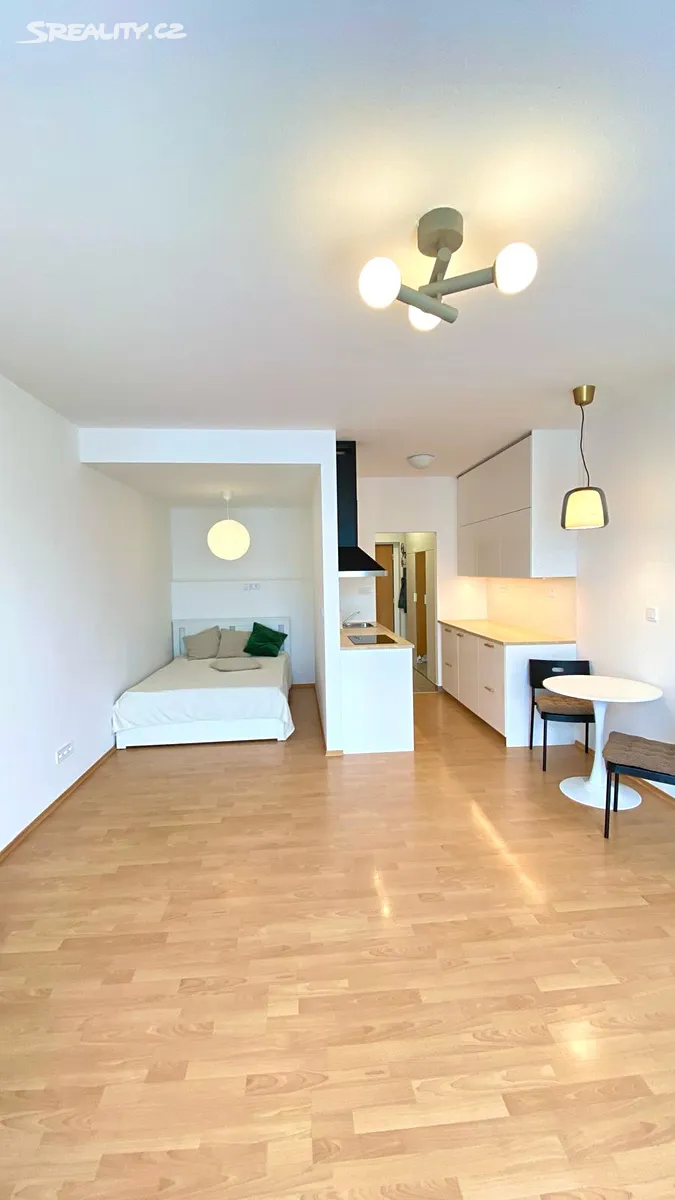 Pronájem bytu 1+kk 42 m² – pohled 3