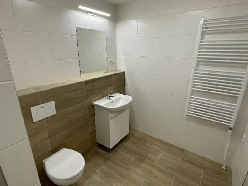 Pronájem bytu 2+1 59 m², Teplice – náhled fotky 3