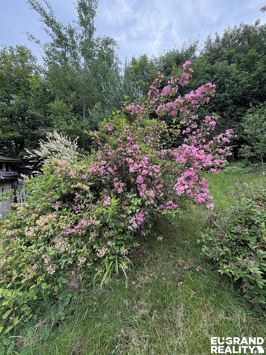 Prodej rodinného domu 246 m², pozemek 245 m² – fotografie 5