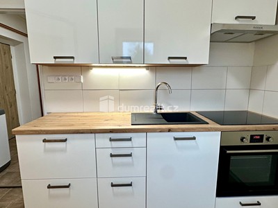 Pronájem bytu 1+1 36 m²