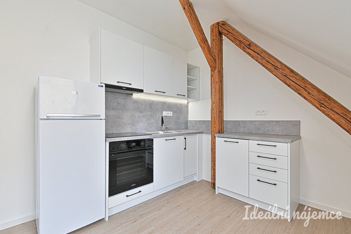 Pronájem bytu 1+1 45 m²
