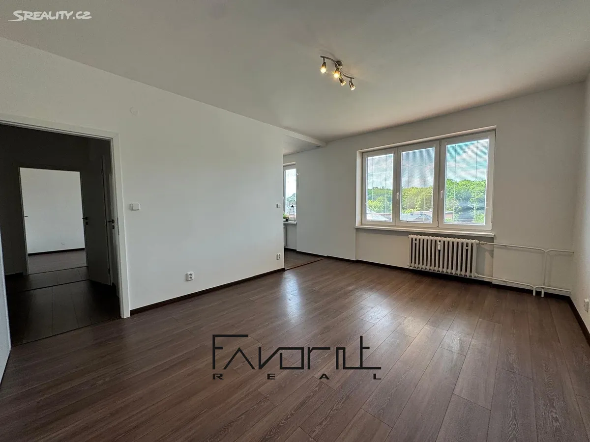 Pronájem bytu 2+1 50 m² – další