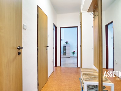 Prodej bytu 2+1, 52 m² (3 z 14)