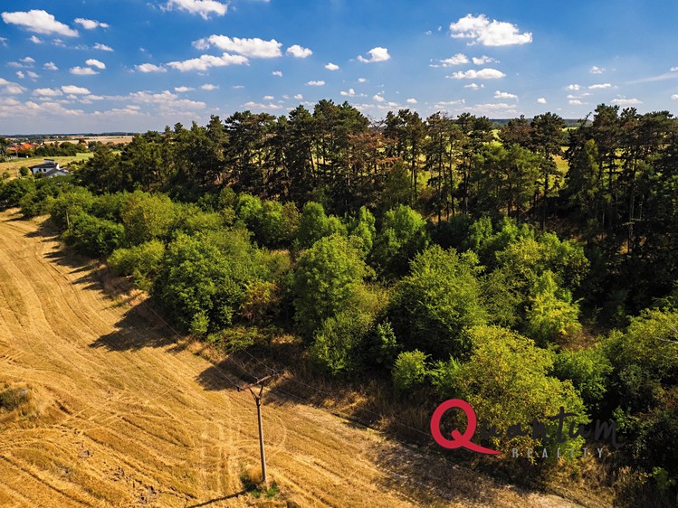 Ділянка на продаж, 16 339 м² (34 з 56)