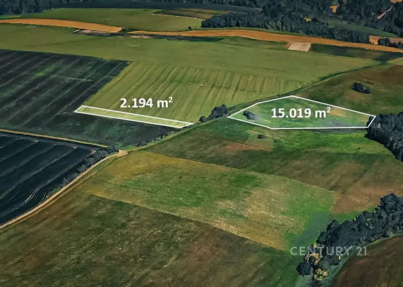 Prodej pole 17213 m², Potštát – náhled fotky 1