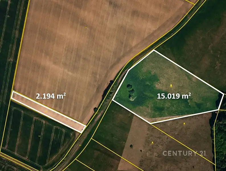 Prodej pole 17213 m², Potštát – náhled fotky 2