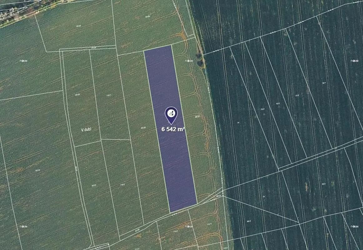 Prodej pole 6542 m²