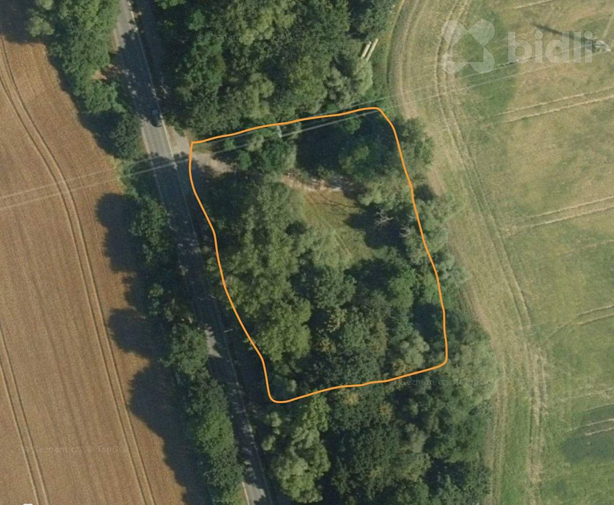 Pronájem louky 3000 m²