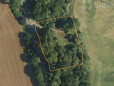 Pronájem louky 3000 m²