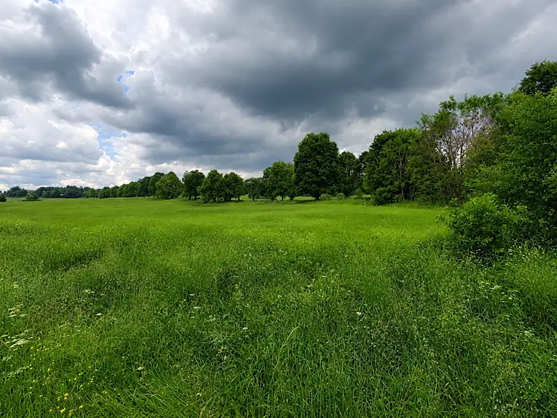 Prodej pozemku 8002 m², Volary – náhled fotky 3