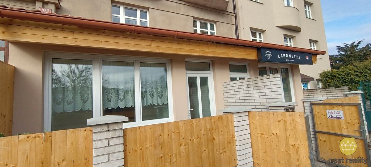 Pronájem bytu 2+1 53 m²