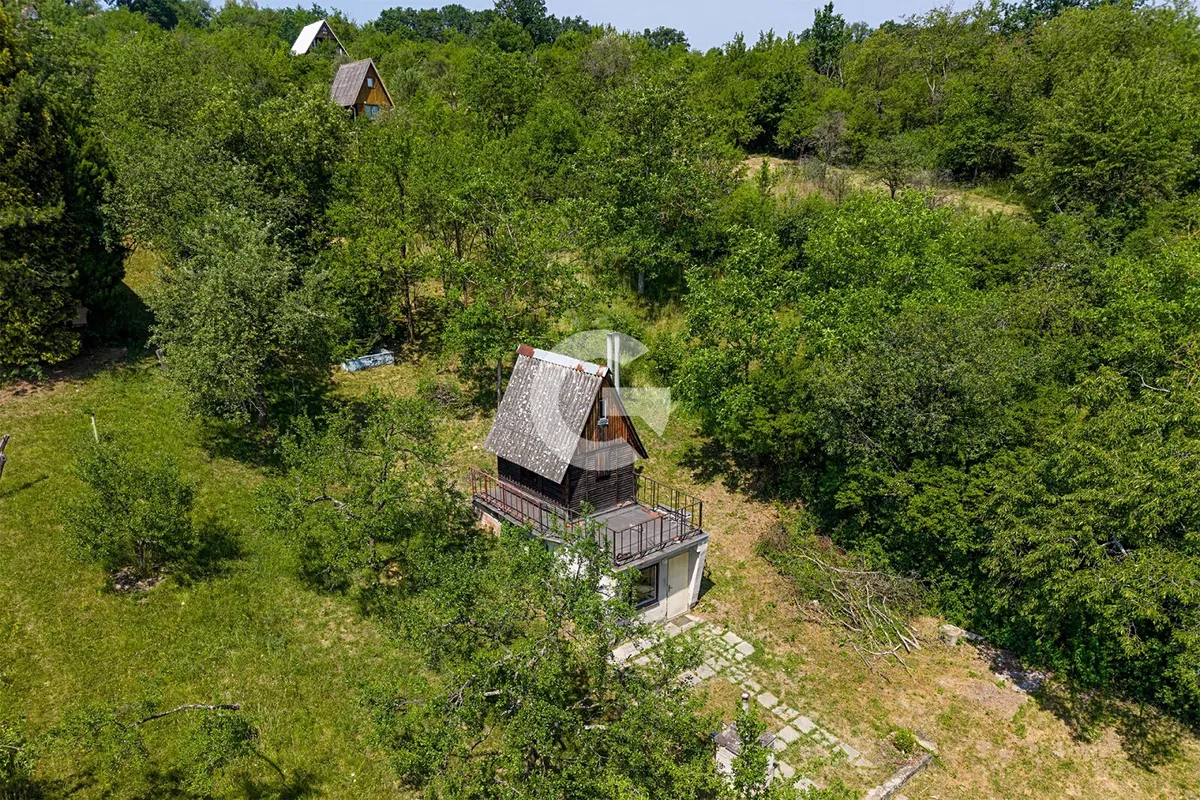 Fotka 8 z 13