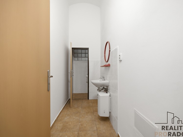 Комерційне приміщення в оренду, 230 м² (11 з 13)