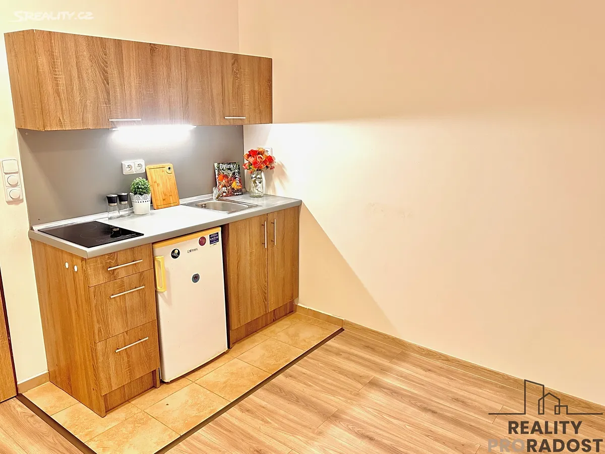 Pronájem bytu 1+kk 45 m², Olomouc